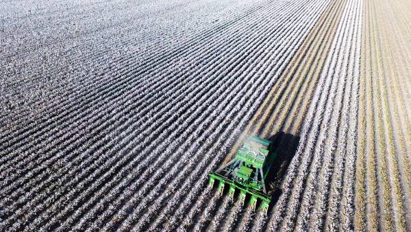 Local farmers win out as Proterra's giant cropping portfolio is split back up