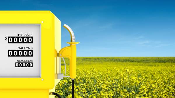 'Farm to the refinery': $1b funding injection to spark biofuel industry