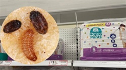 Tired parents put on biosecurity frontline: is the message being delivered?