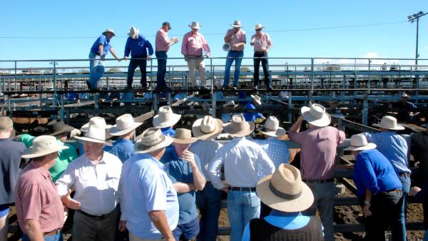 Final chapter as last sale scheduled for Toowoomba's old saleyards