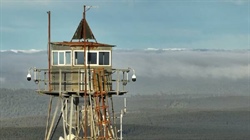 Why AI-powered cameras are watching Australian forests