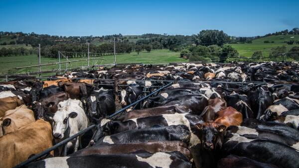 Unions join the stoush over Lactalis' proposed acquisition of Fonterra