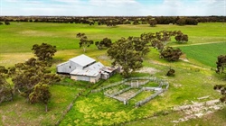 Budget buy | Productive farm with fertile soil for sale at Tintinara