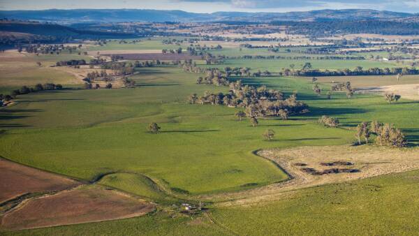 Premium valley property sells for record $5308/acre red hot auction | Video
