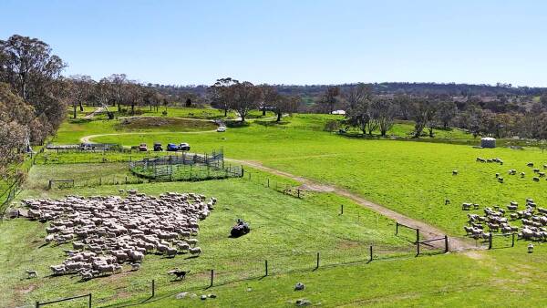 Rock and roll ain't noise pollution for hilly grazing farm outside the city