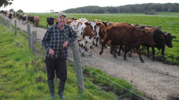 Gippsland dairy farmer breeds Australian Red cows with 'untapped potential'