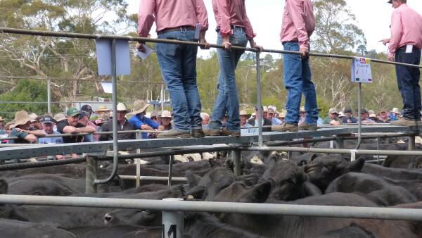 Corporate watchdog sets new date for Elders-Delta monopoly decision