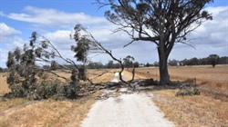 Sudden stratospheric warming event hits - what does it mean for weather?