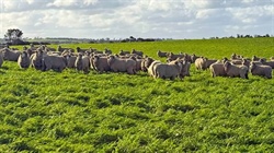 End of an era as Dalveen East sells after 171 years of family ownership