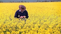 Finally a tariff triumph as UAE deal delivers export boost for farmers