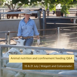 Q & A on Livestock Health, Nutrition and Confinement feeding with Dr Jillian Kelly